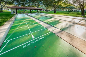 19-Shuffleboard
