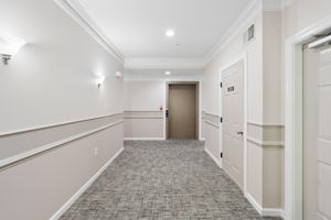 Chambers 31