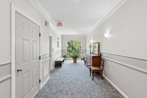Chambers 35