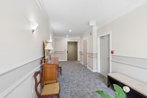 Chambers 37