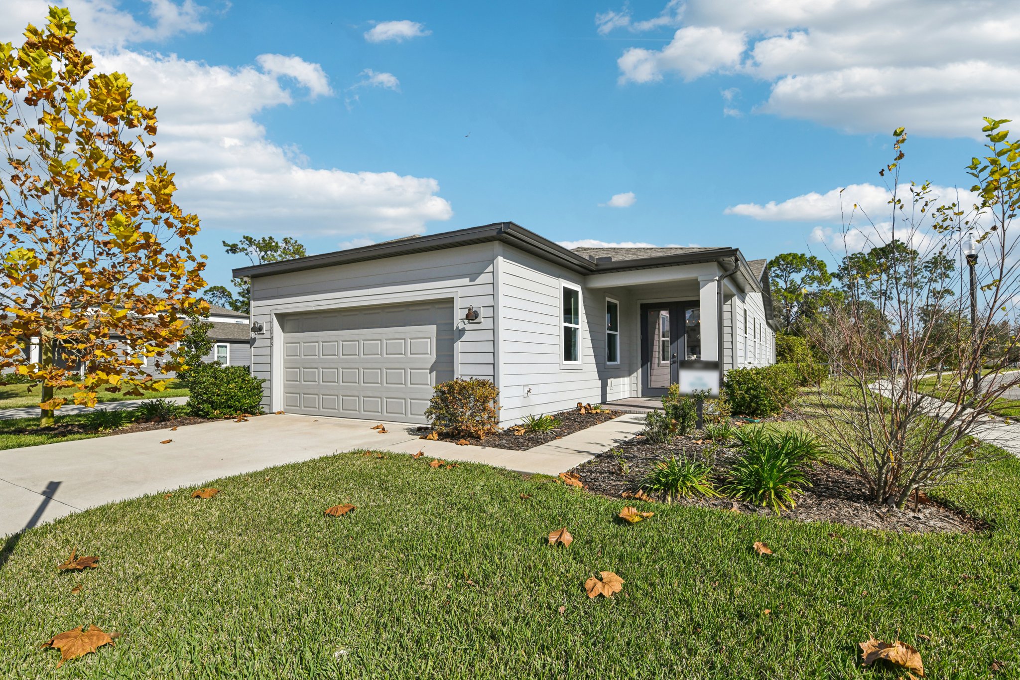 Green Citron Aly-S2312-002.jpg