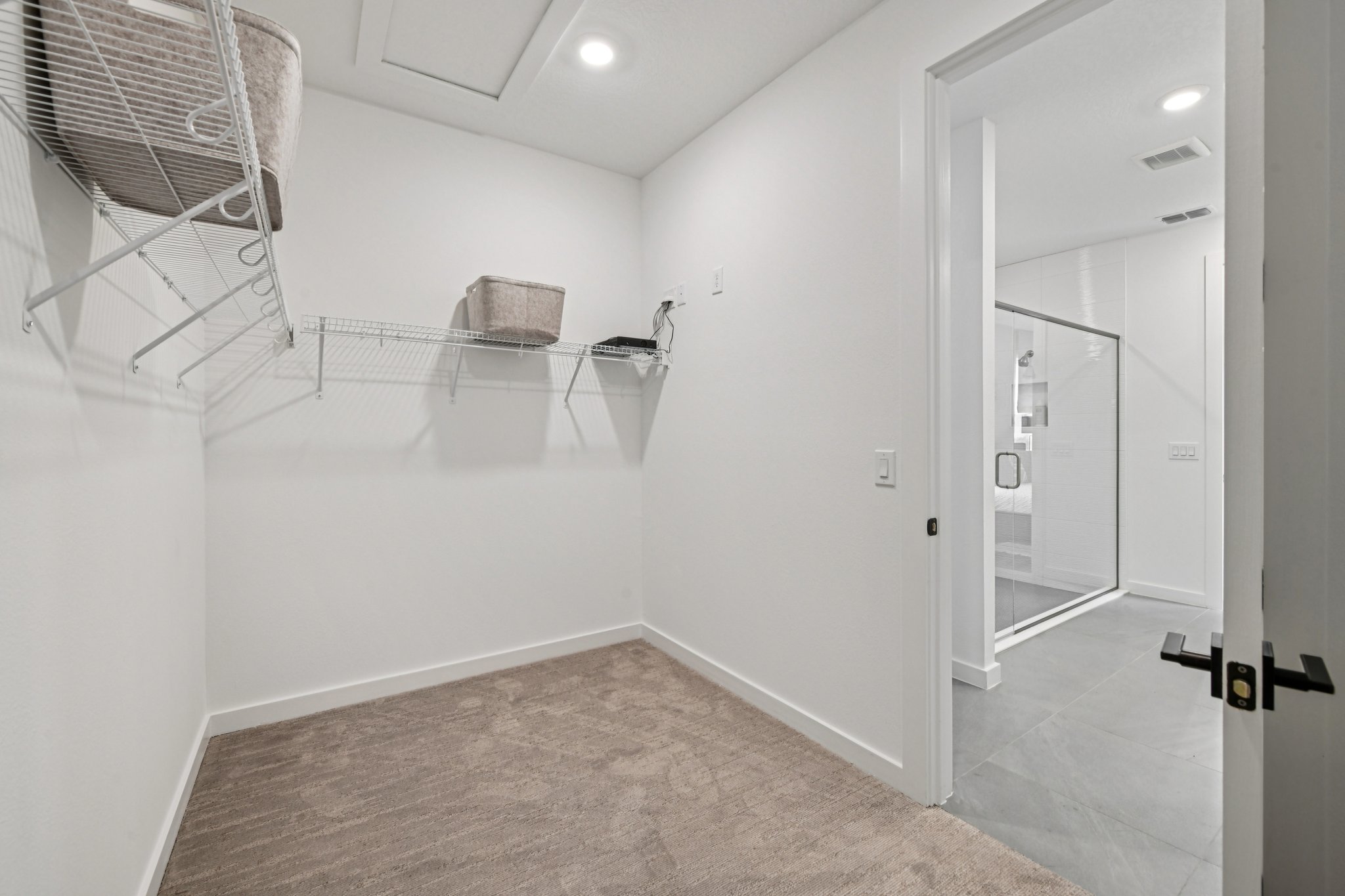 Green Citron Aly-S2312-028.jpg