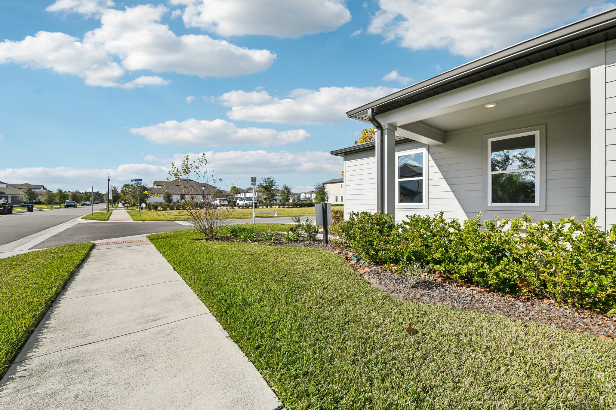 Green Citron Aly-S2312-030.jpg