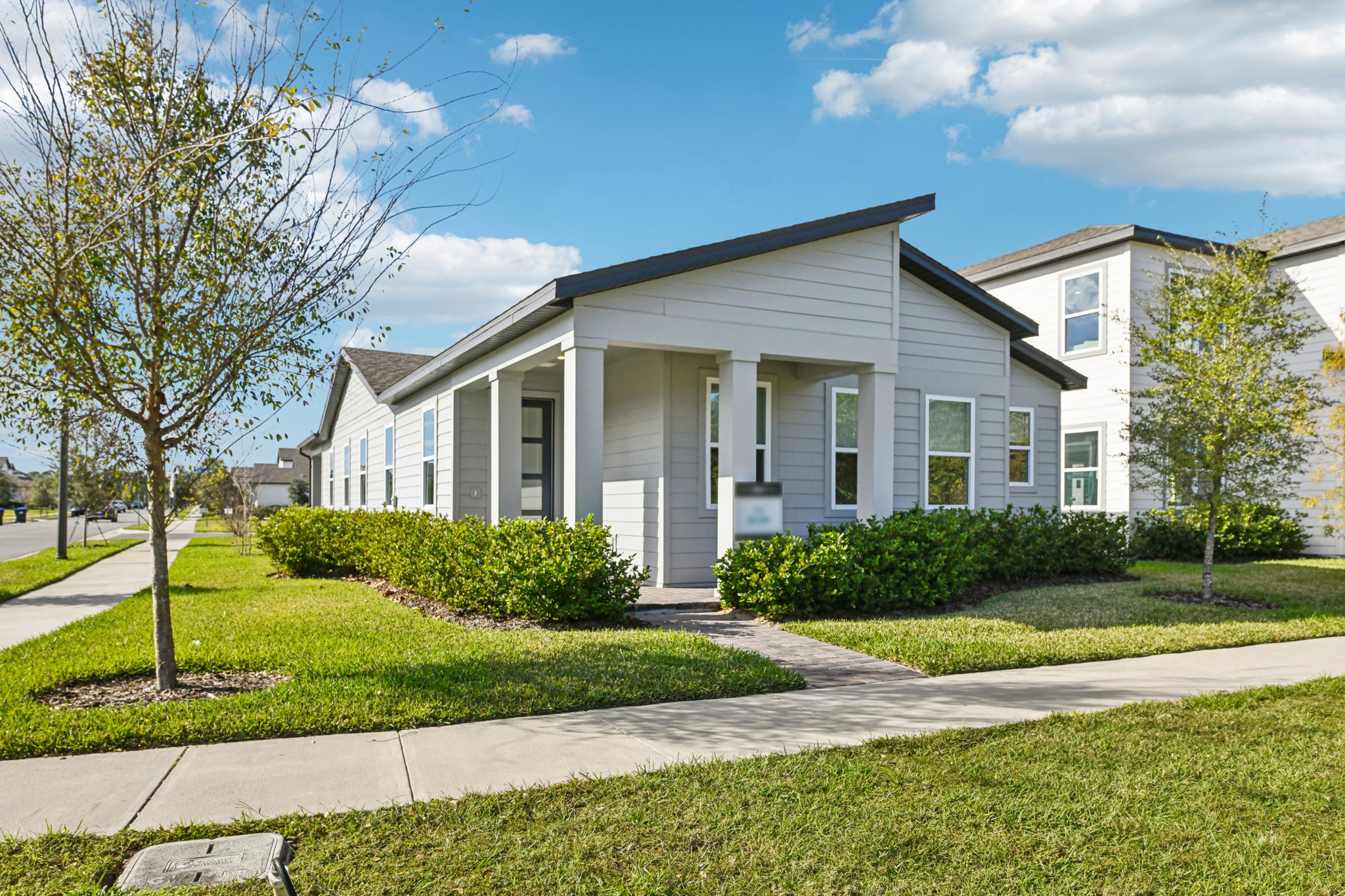 Green Citron Aly-S2312-034.jpg