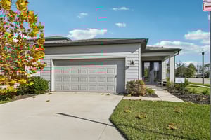 Green Citron Aly-S2312-001.jpg