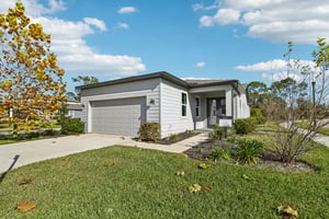 Green Citron Aly-S2312-002.jpg