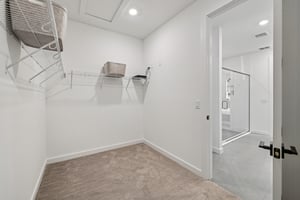 Green Citron Aly-S2312-028.jpg