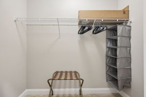 Primary Bedroom Closet