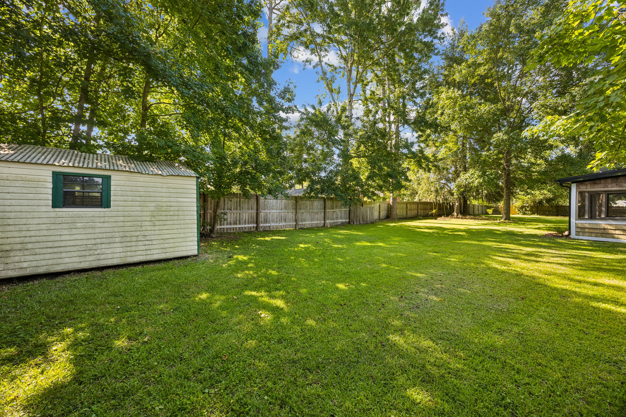 Backyard
