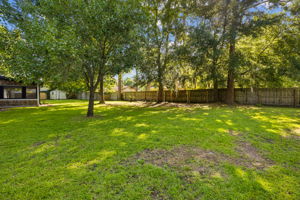 Backyard