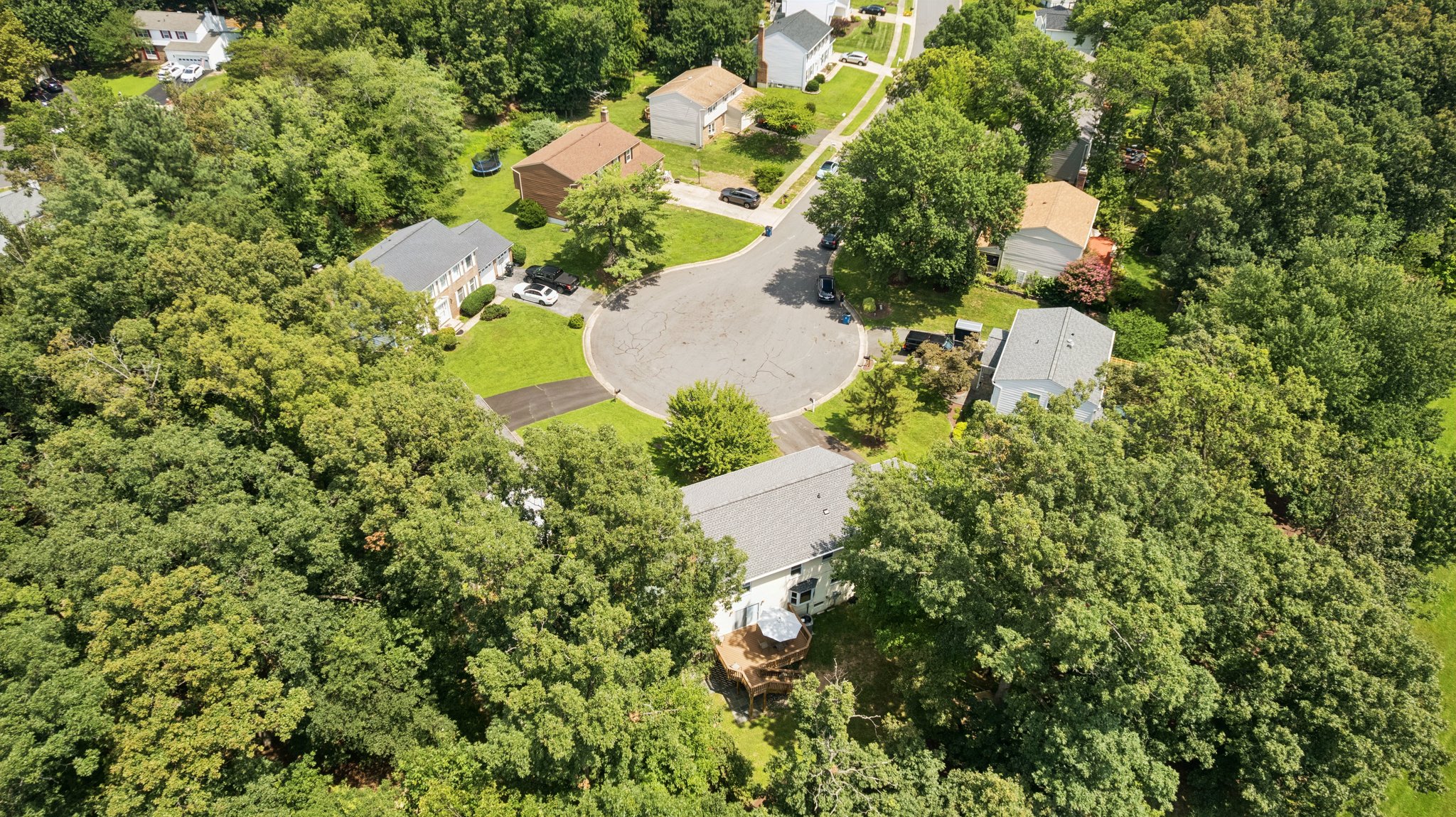 DJI_0393.jpg