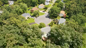DJI_0393.jpg