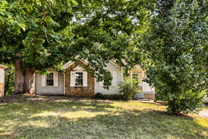  Photo 0