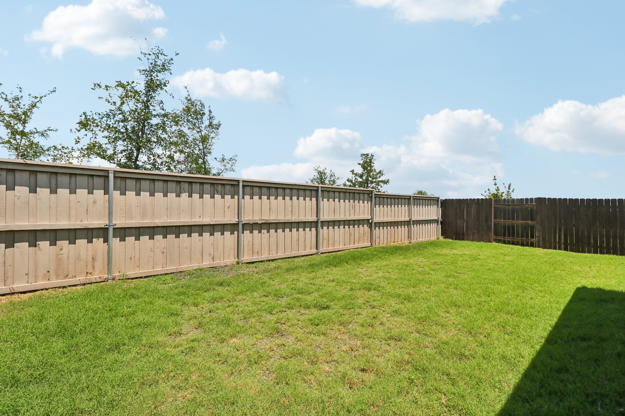 Chinaberry Bnd-S1305-035.jpg