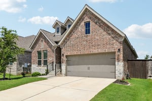 Chinaberry Bnd-S1305-003.jpg
