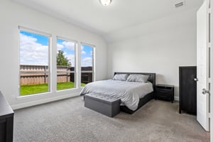 Chinaberry Bnd-S1305-016.jpg