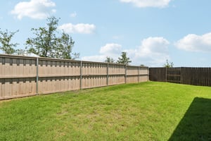Chinaberry Bnd-S1305-035.jpg