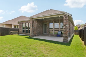 Chinaberry Bnd-S1305-036.jpg