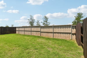 Chinaberry Bnd-S1305-038.jpg