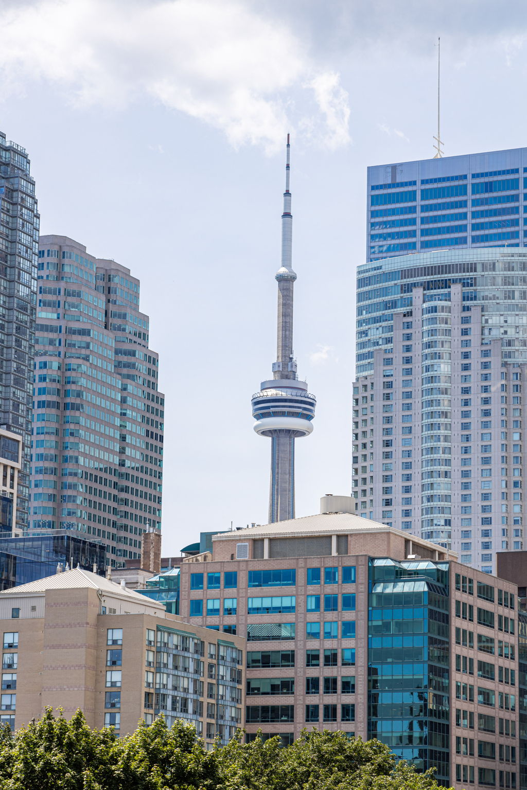 Toronto property showcase — delivered property photograph 59