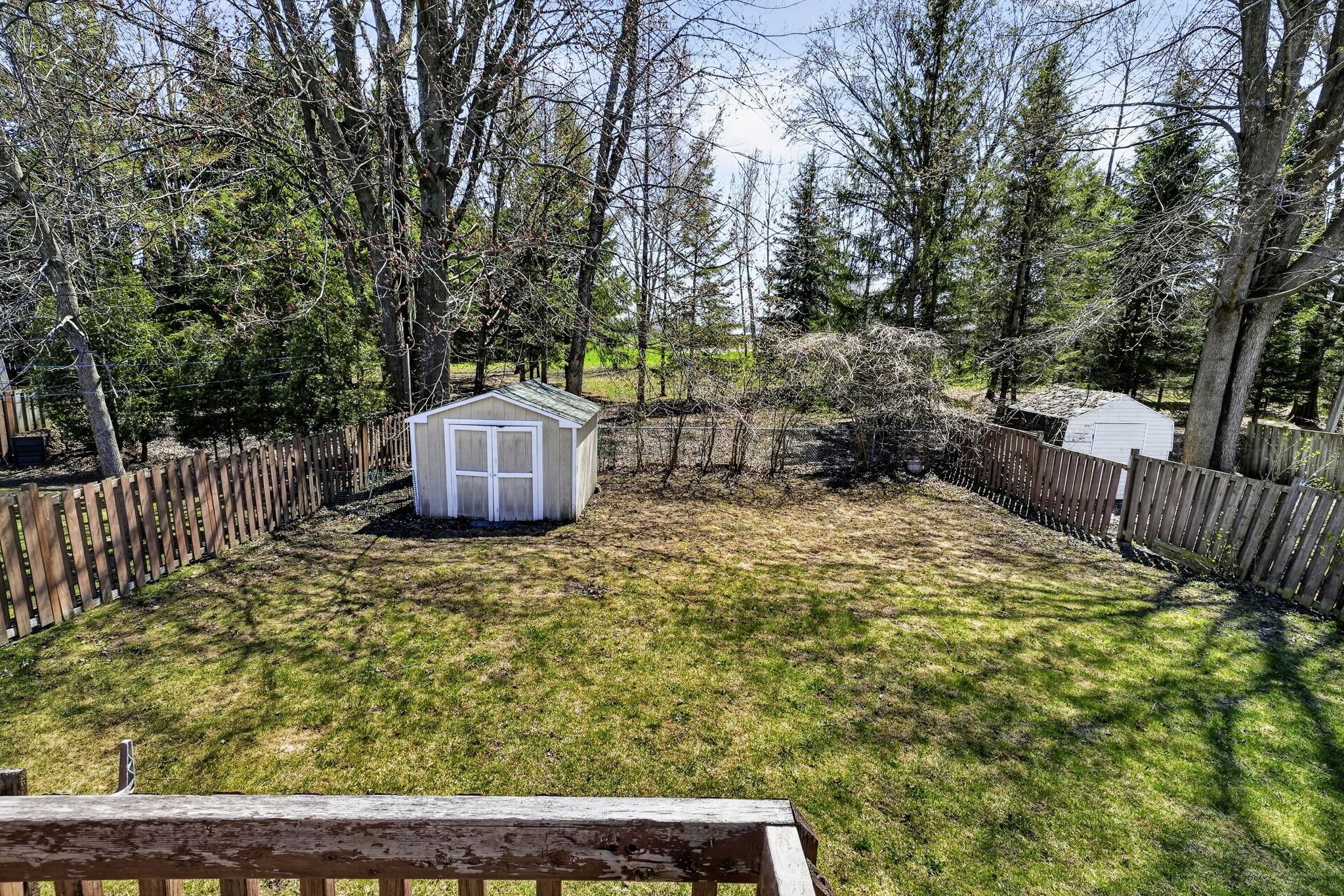 Photo 41