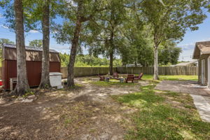 Backyard