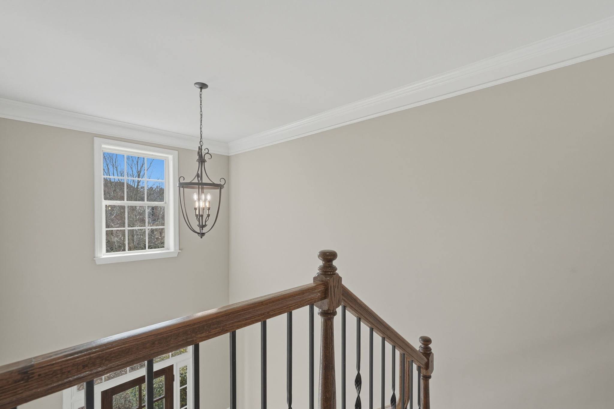 Let's go check out the back yard!