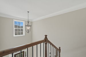 Let's go check out the back yard!