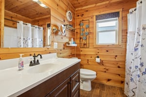 Main St-S0804-022.jpg