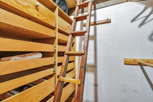  Photo 30