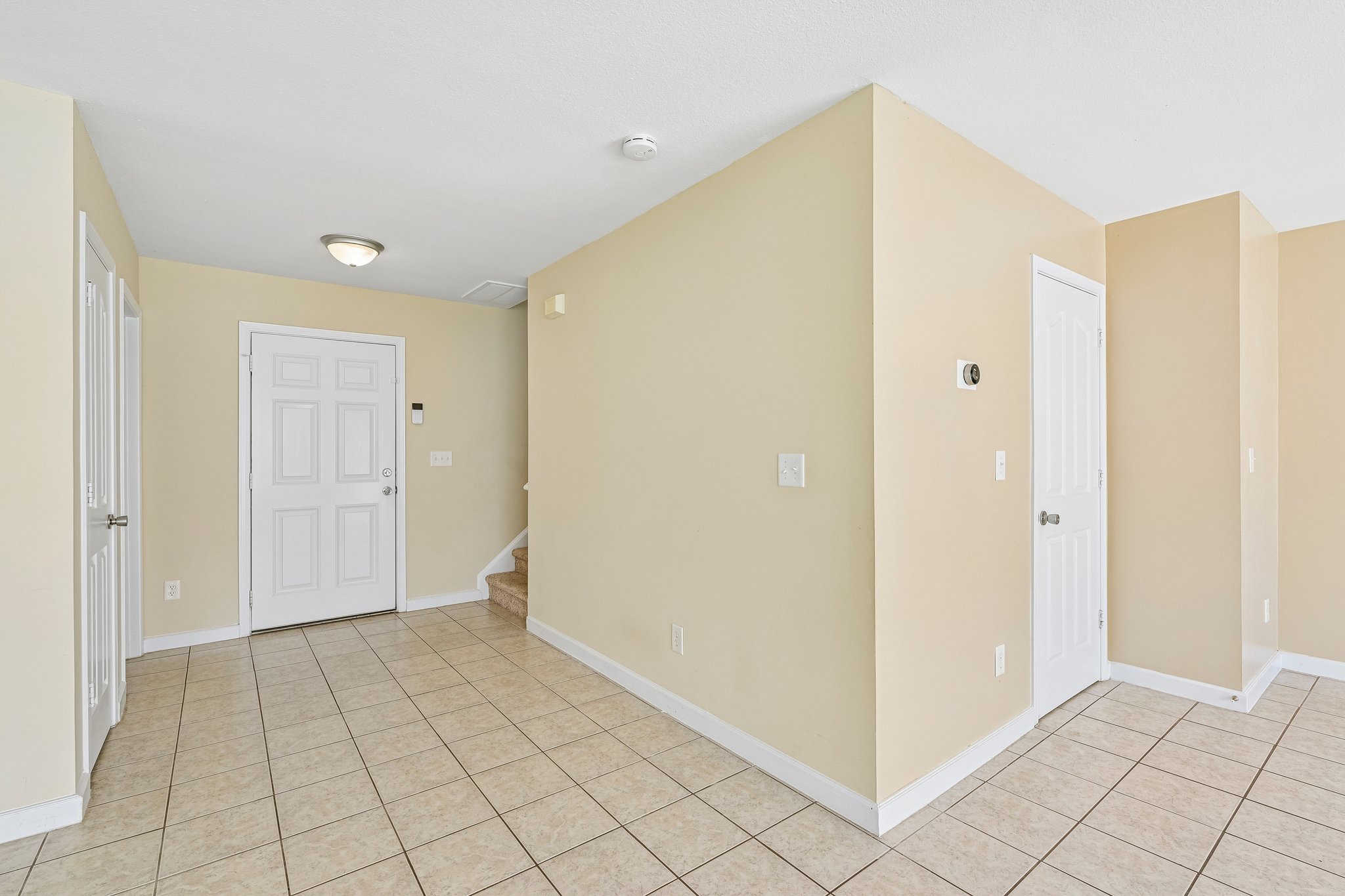 Nevis Ln-S3107-005.jpg