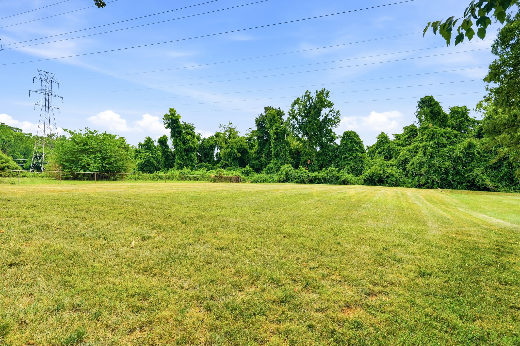  Photo 51