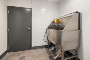 20260320_112rogers_dorfman093