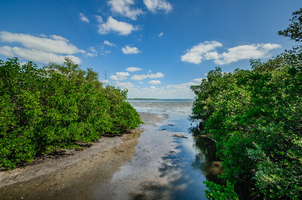 44Phillippe Park, Safety Harbor