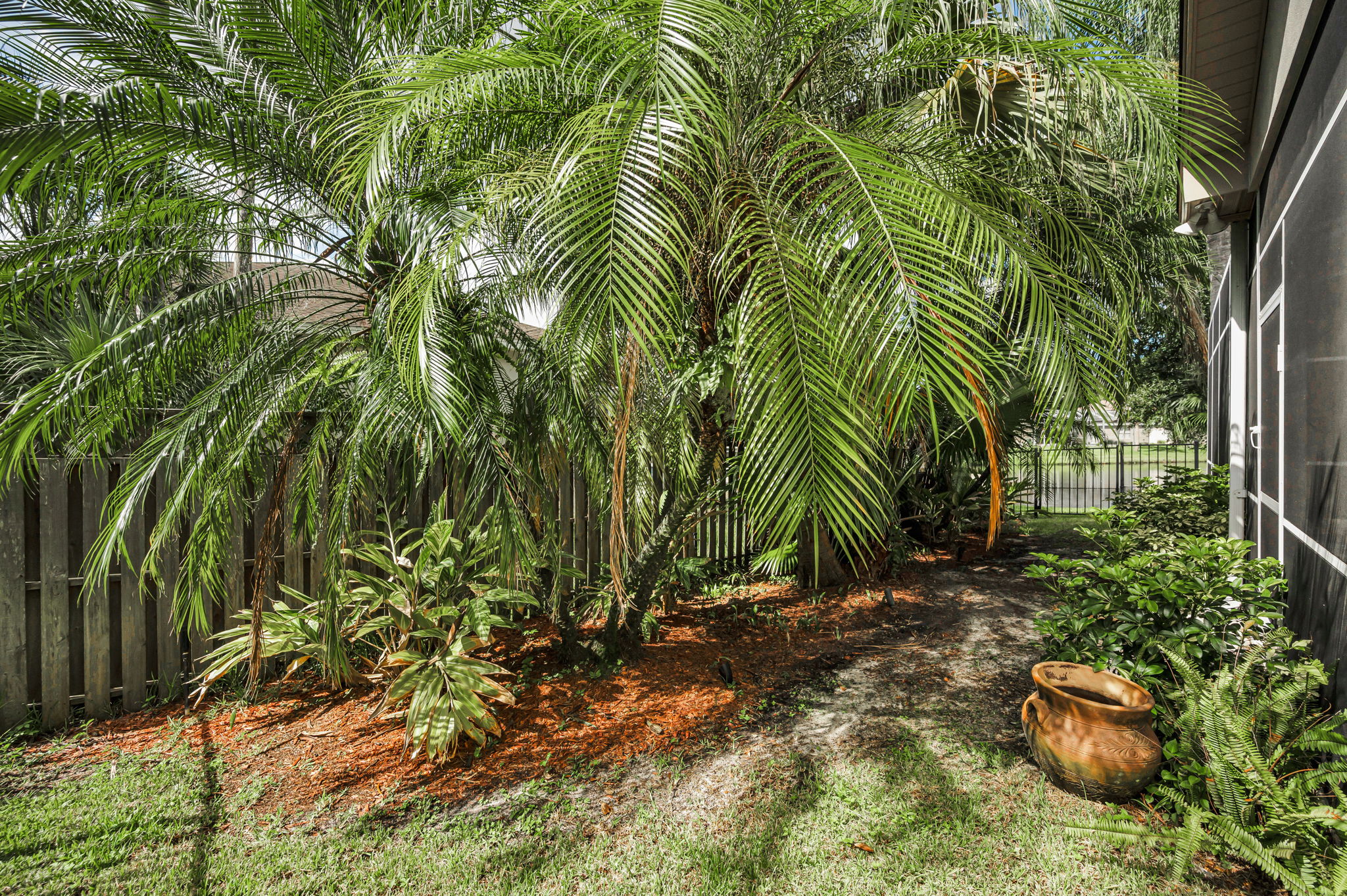 Fenced Yard2