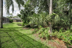 Backyard3