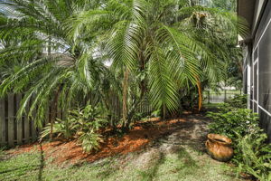 Fenced Yard2