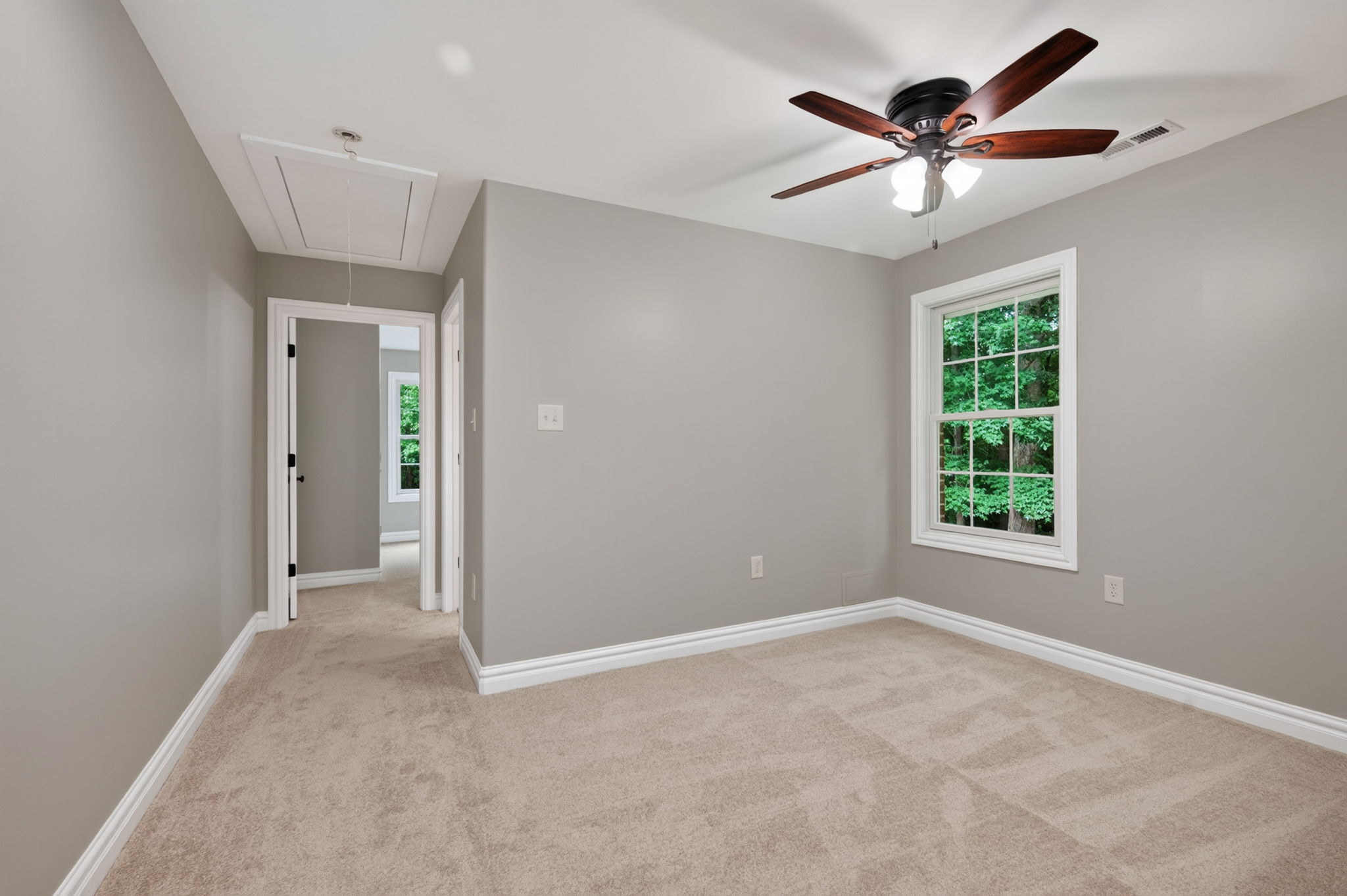  Photo 55