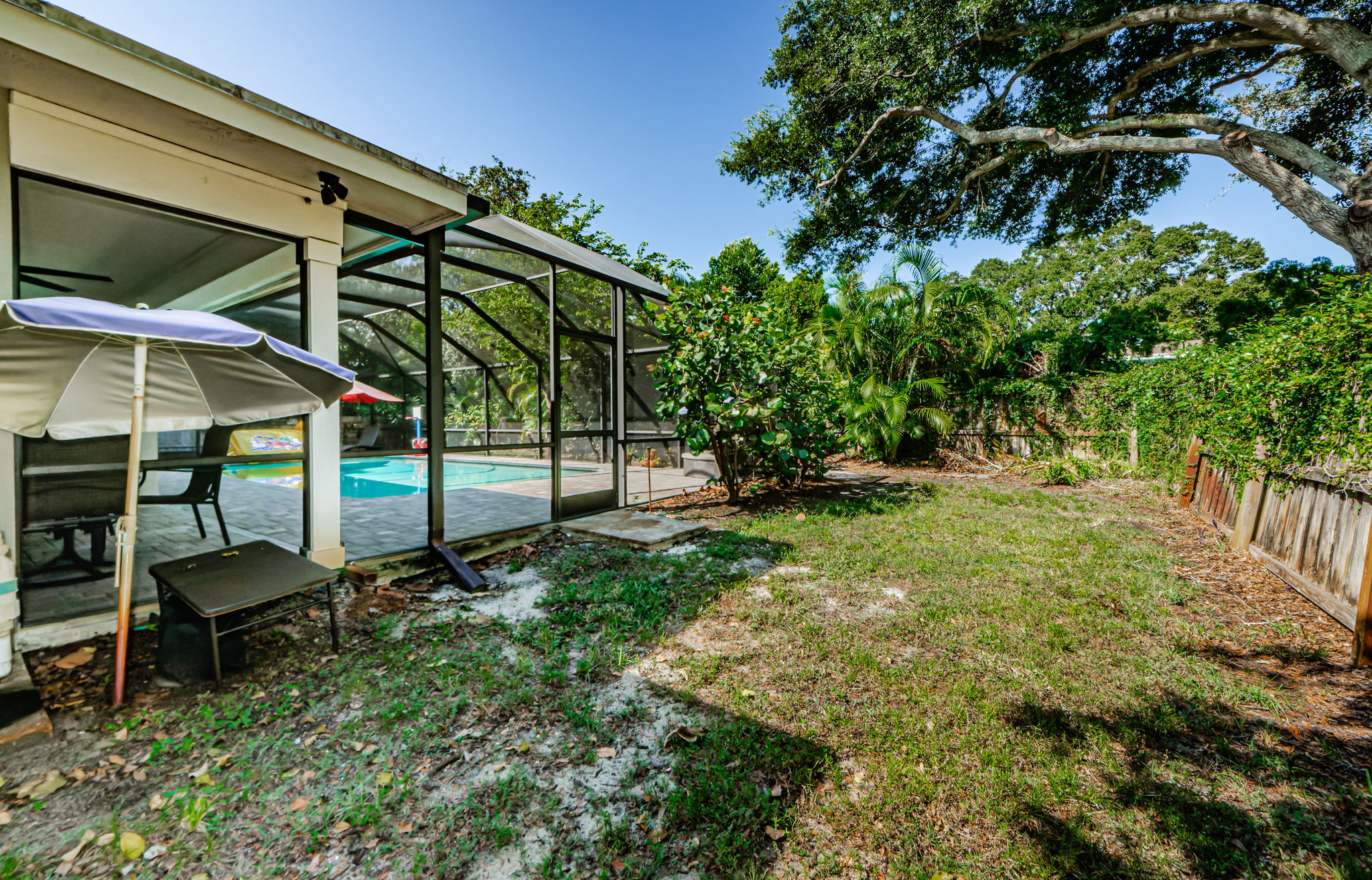 Backyard 1