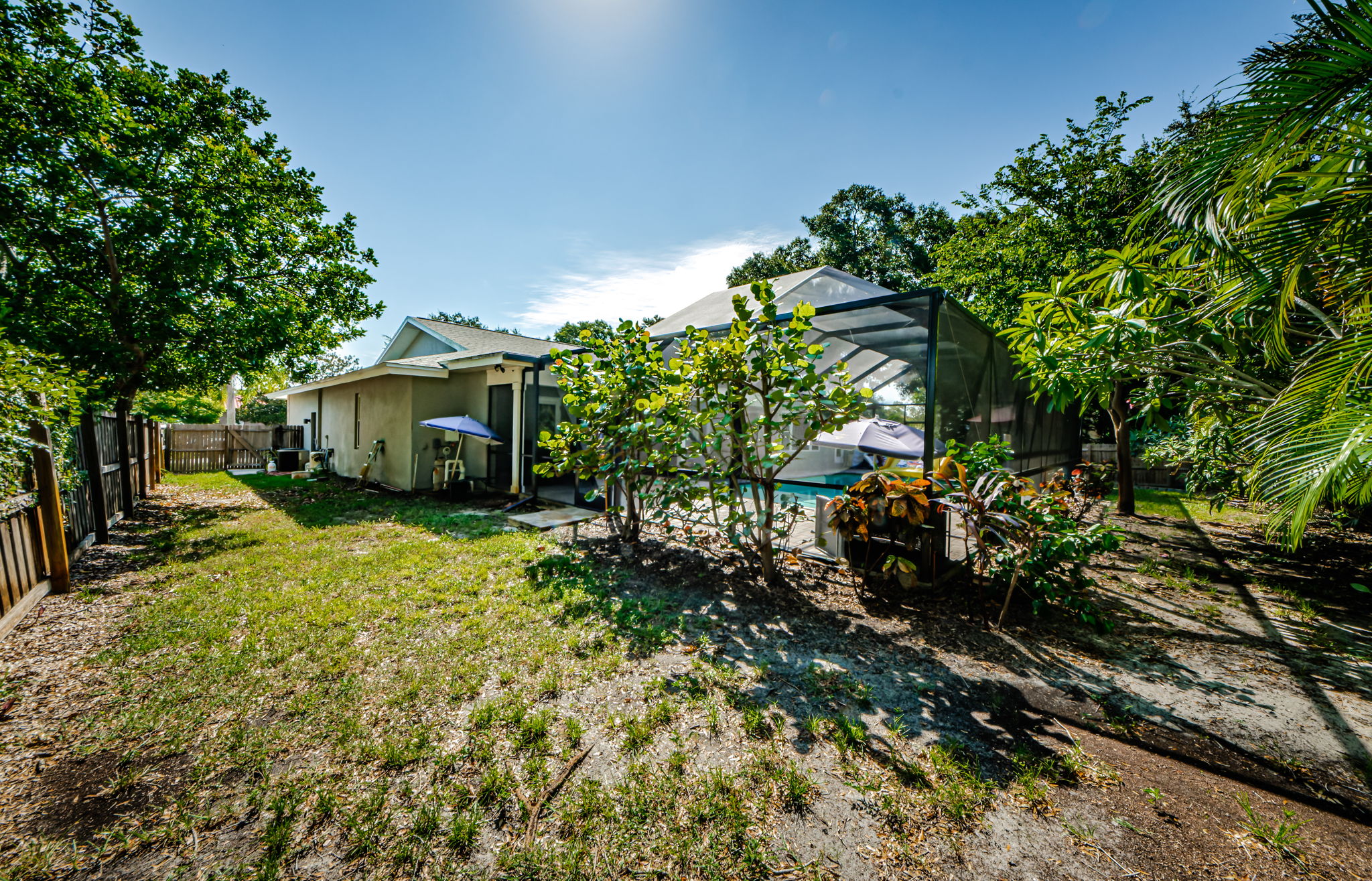 Backyard 2