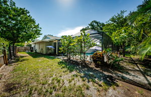 Backyard 2