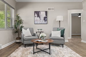 Living Room 2