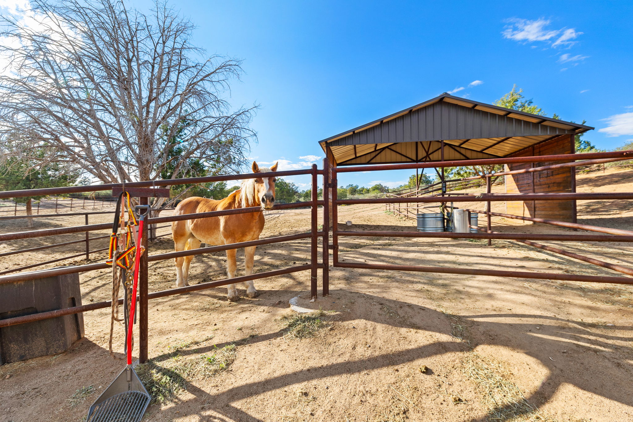Corral_3