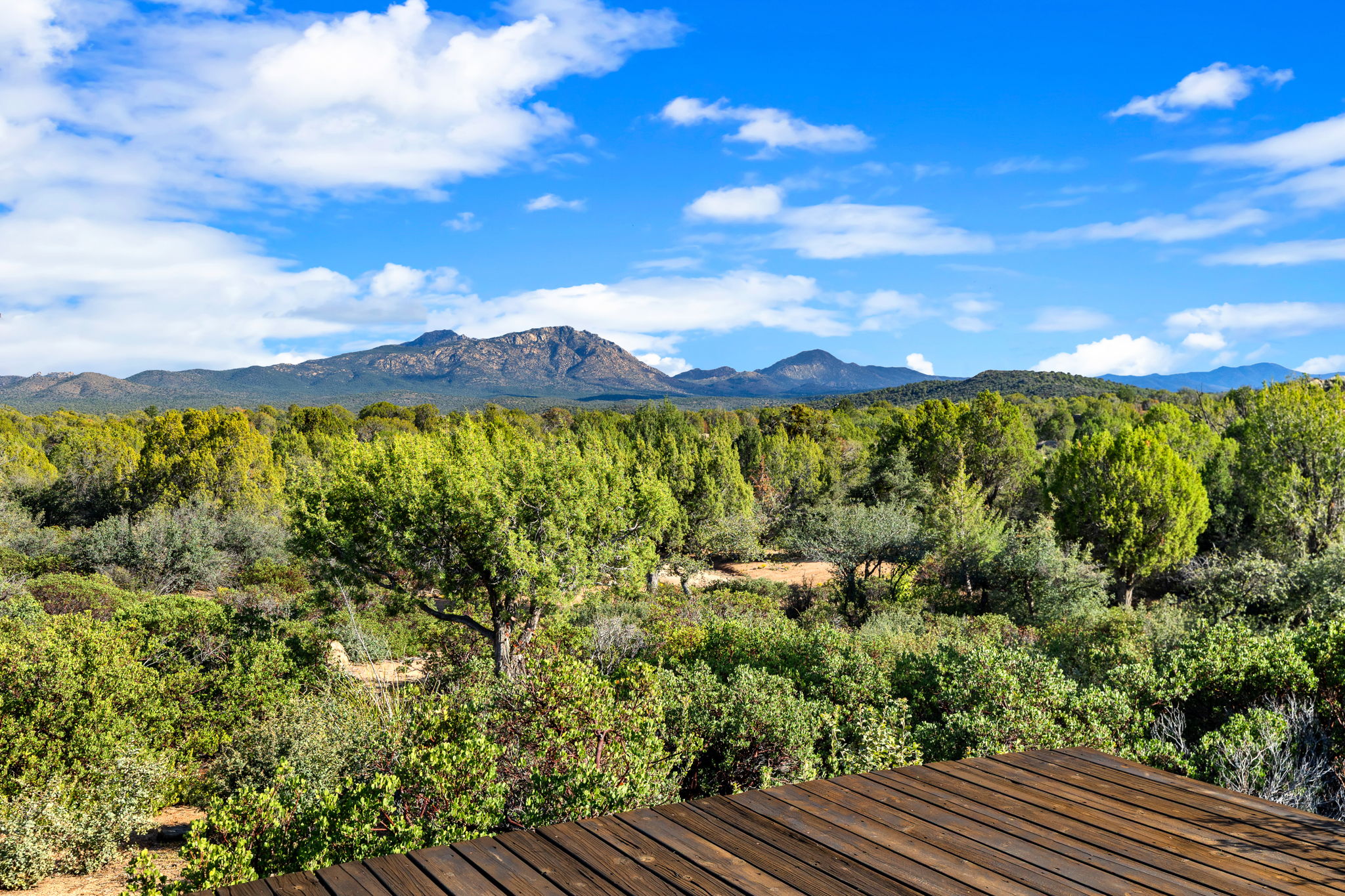 Deck View
