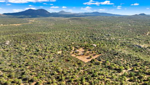 Aerial 1