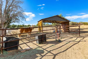 Corral_1