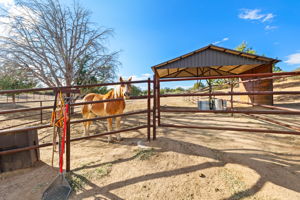 Corral_3