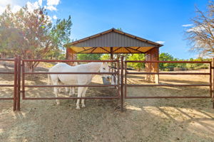 Corral_4