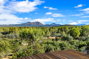 Deck View