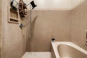 Primary Bathroom_3